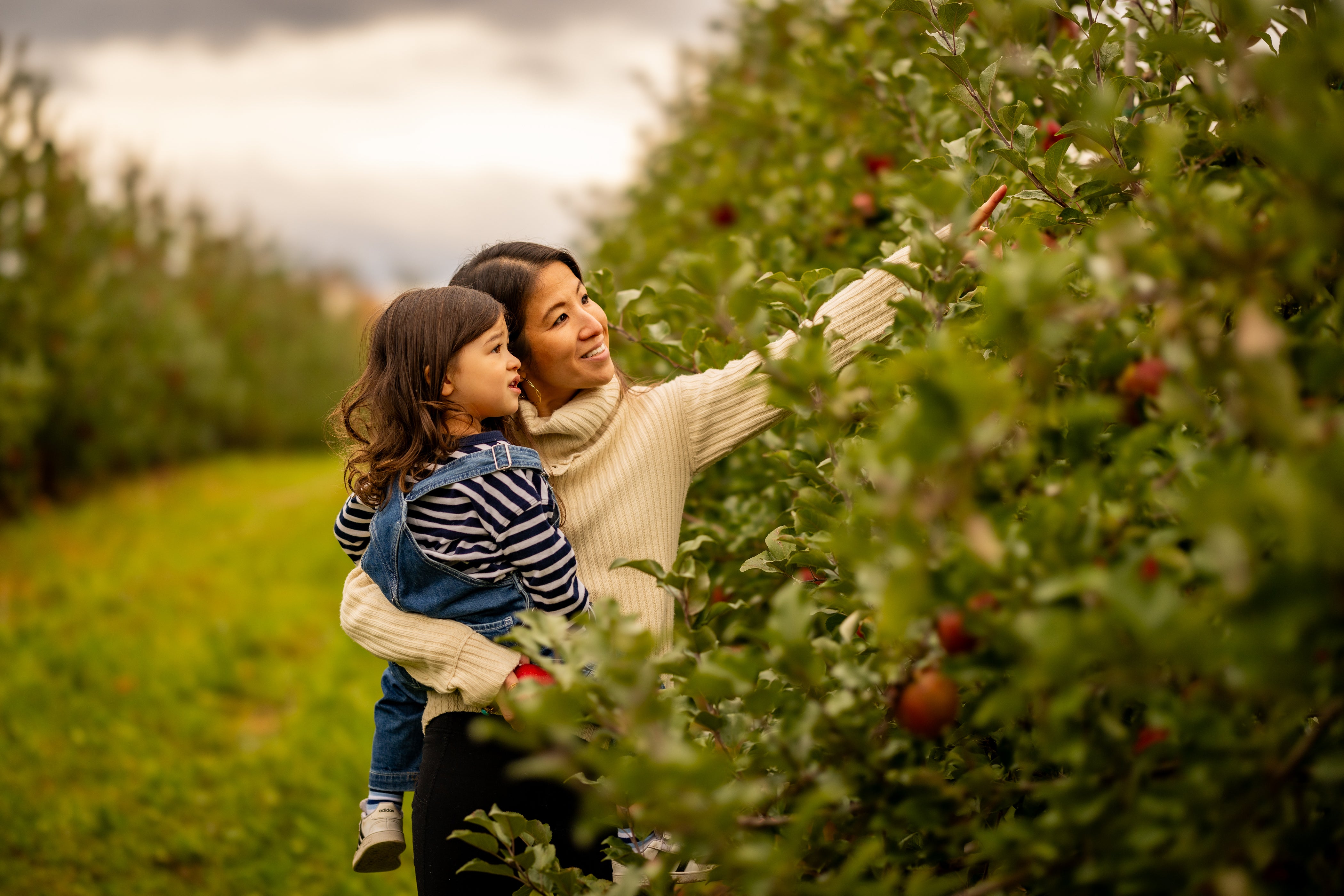 family photo shoot in new york