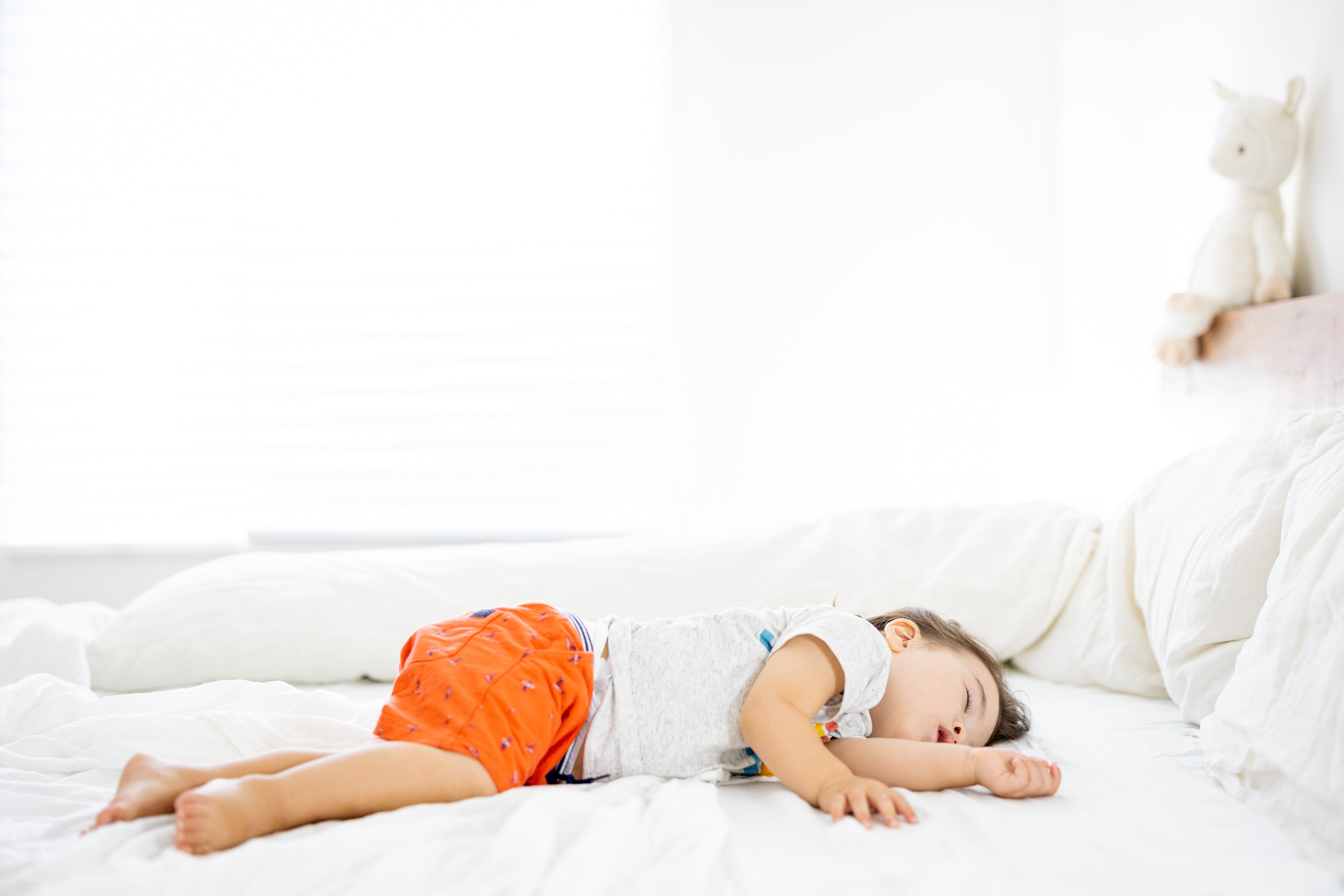 Family Photography New York