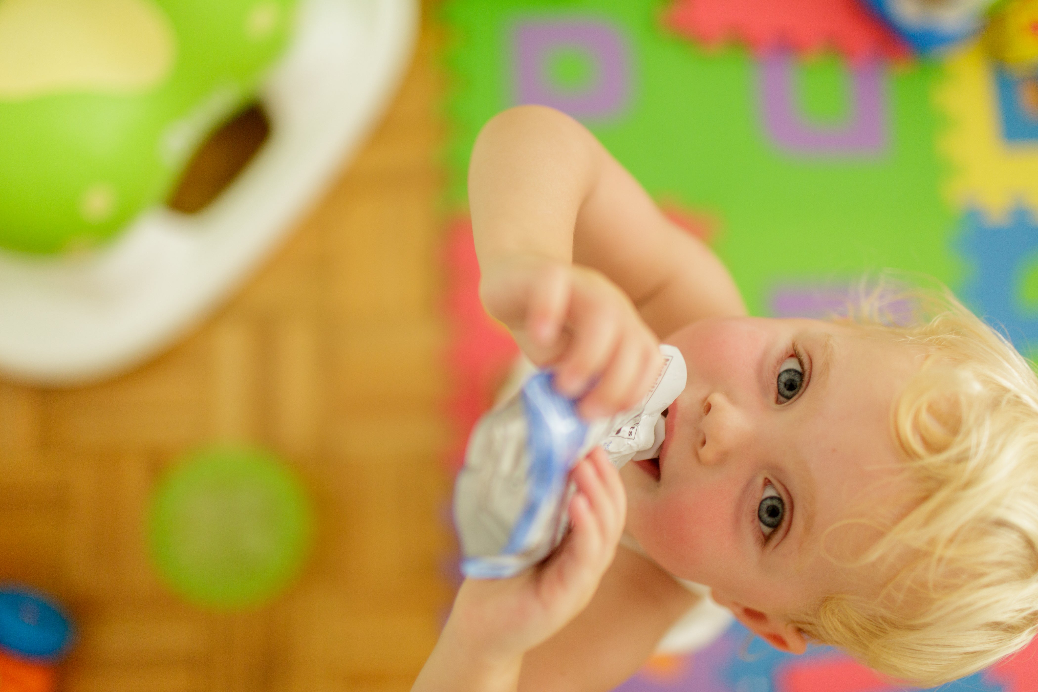 family photographers