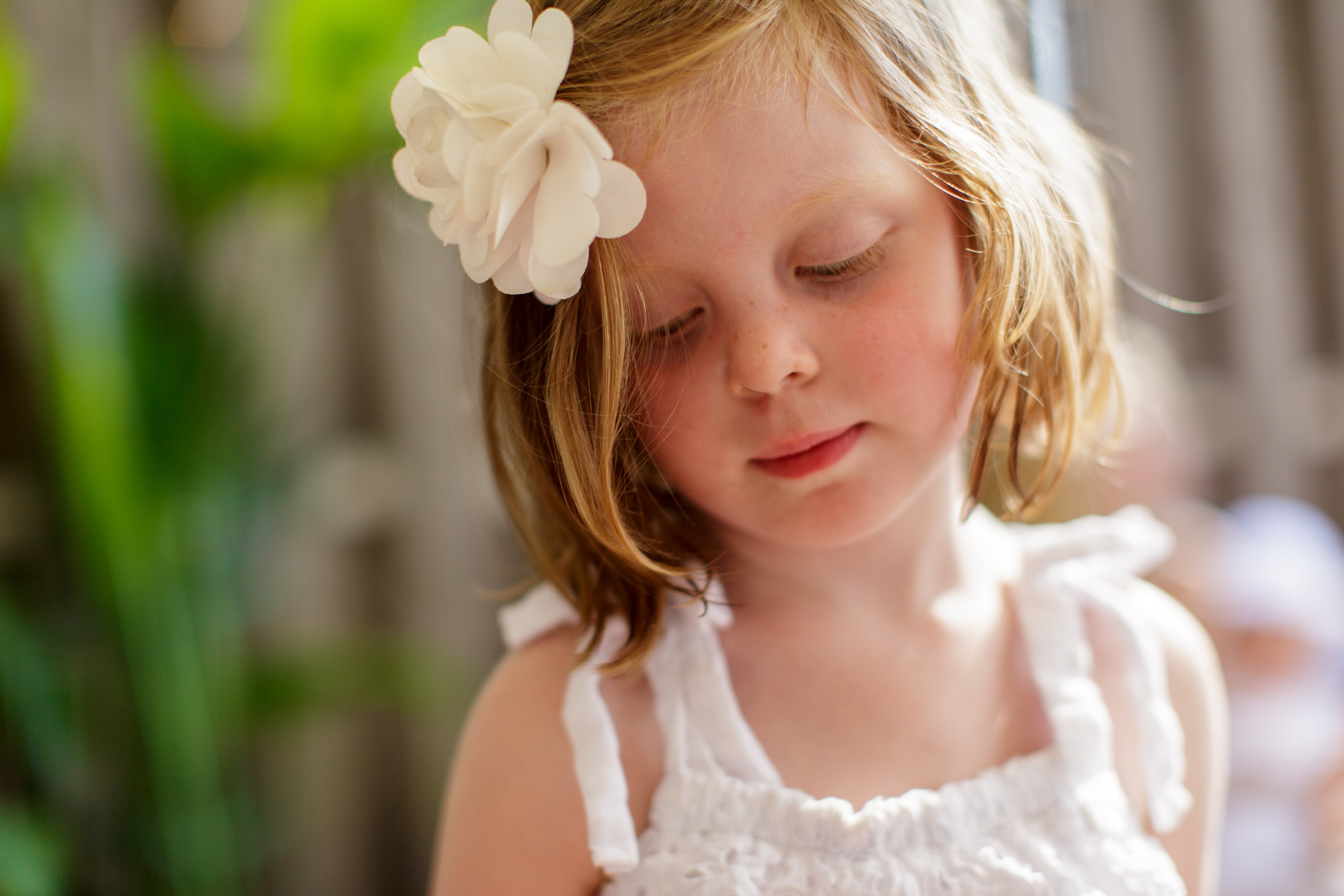 family photographer nyc