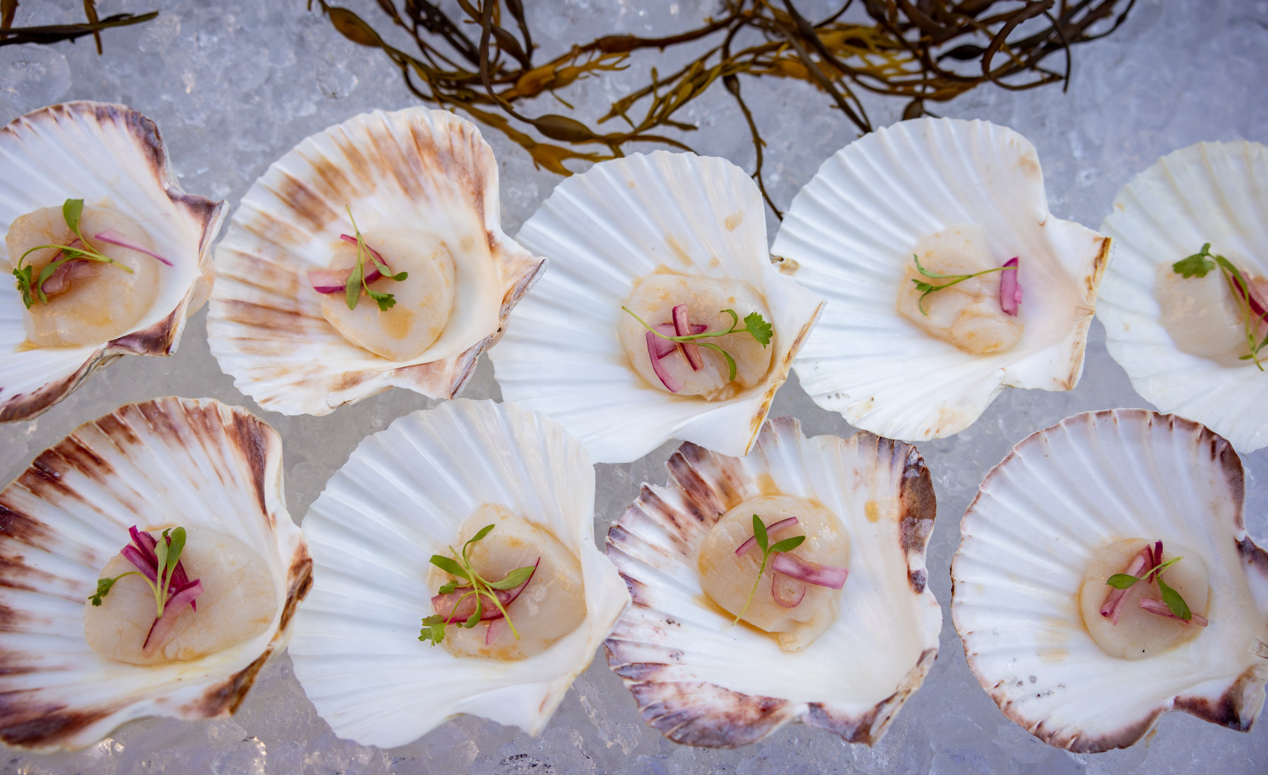 nyc corporate videography