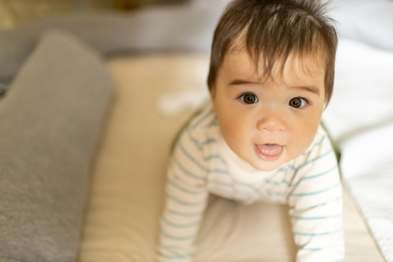 family photographer nyc